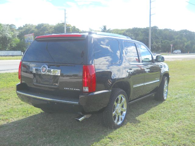 2010 Cadillac Escalade STD CAB