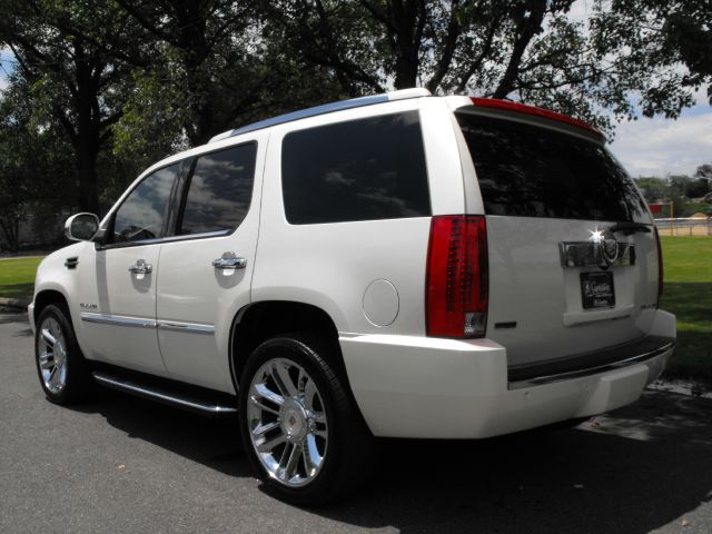 2010 Cadillac Escalade 2500 4X4 8FT BED