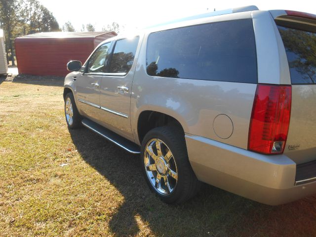 2008 Cadillac Escalade ESV SR5 Sport Utility 4D