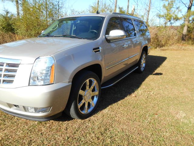 2008 Cadillac Escalade ESV SR5 Sport Utility 4D
