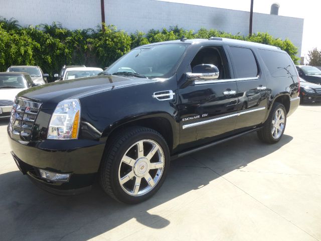 2009 Cadillac Escalade ESV 4 DR. Cloth