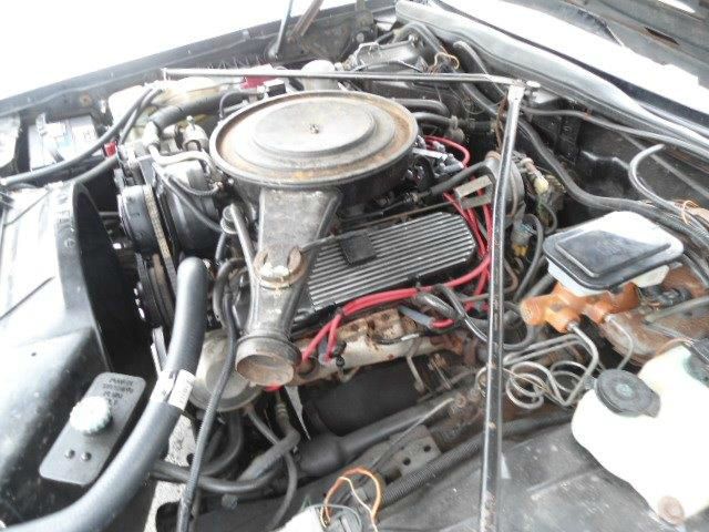 1982 Cadillac SEVILLE Unknown