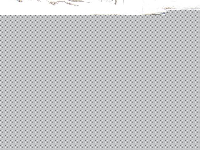 1996 Chevrolet Corsica Base