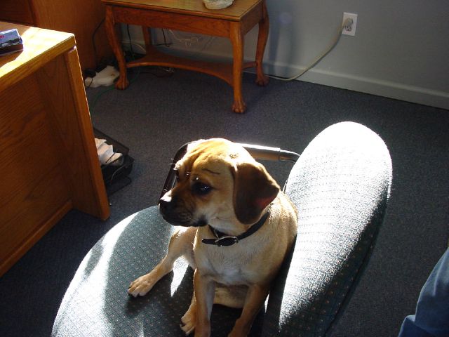 2002 Chevrolet Impala Touring W/nav.sys