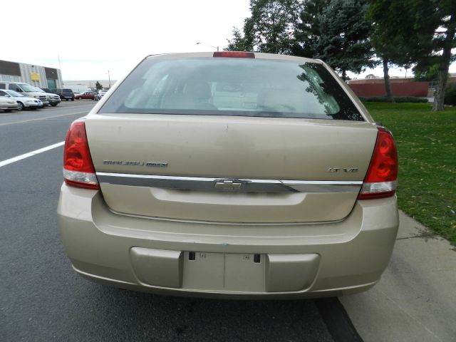 2004 Chevrolet Malibu Maxx SL1
