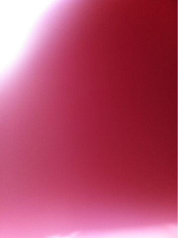 2009 Dodge Challenger XLS 4WD