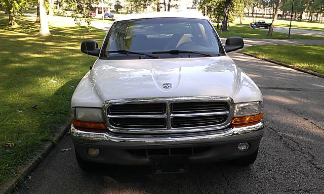 2001 Dodge Dakota 2WD Regular Cab 6.3 Ft Box ST