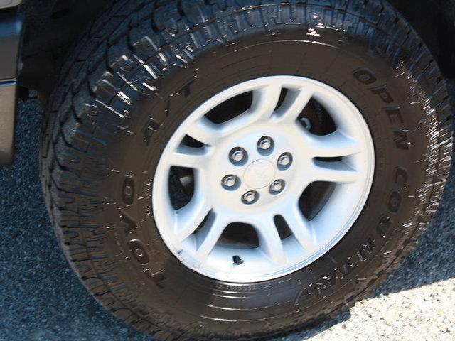 2002 Dodge Dakota Elk Conversion Van