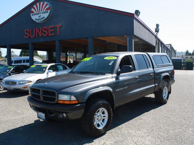 2002 Dodge Dakota Elk Conversion Van
