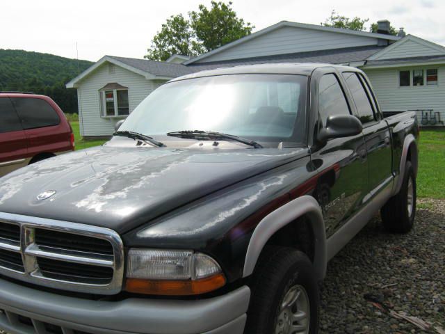 2002 Dodge Dakota Collection Rogue