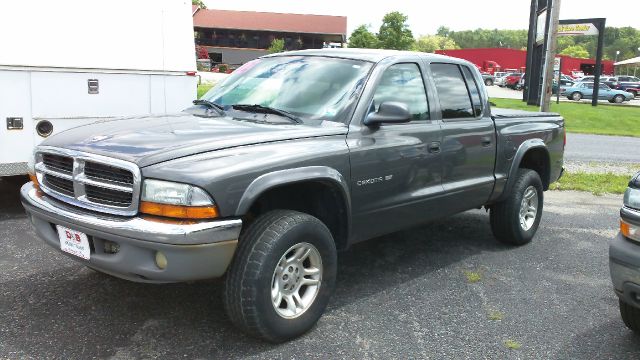 2002 Dodge Dakota Collection Rogue