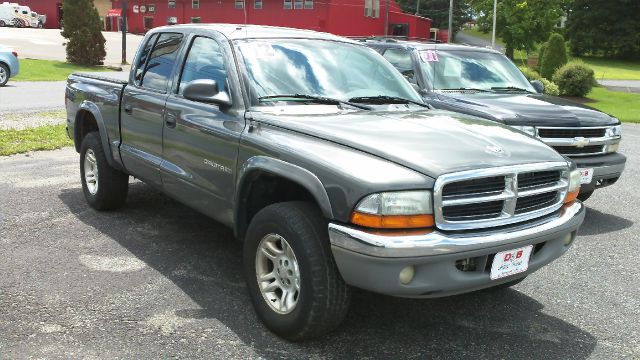 2002 Dodge Dakota Collection Rogue