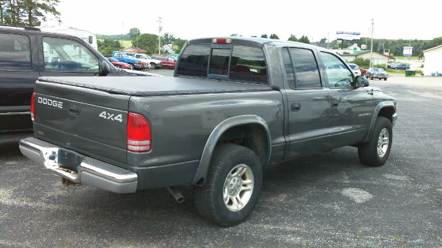 2002 Dodge Dakota Collection Rogue