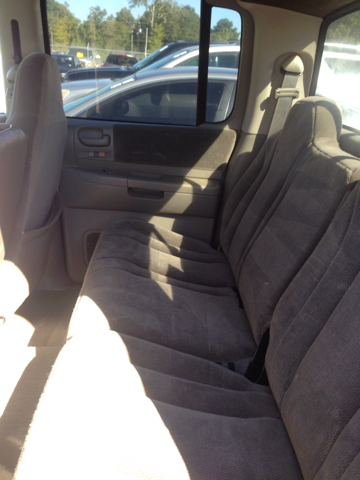 2002 Dodge Dakota Collection Rogue