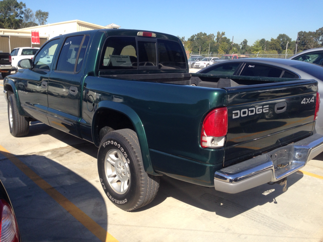 2002 Dodge Dakota Collection Rogue
