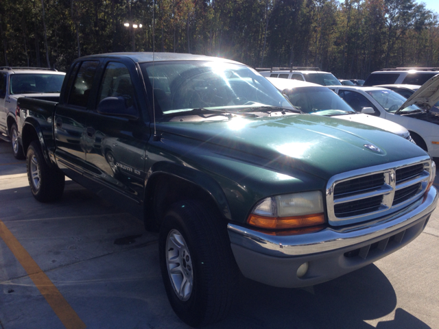 2002 Dodge Dakota Collection Rogue