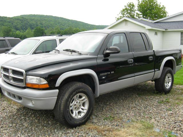2002 Dodge Dakota Collection Rogue