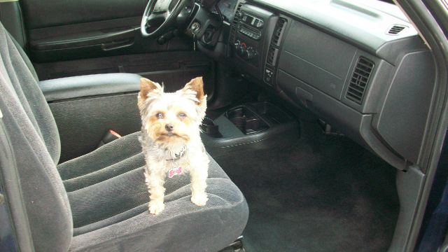 2002 Dodge Dakota Touring Navigation AWD SUV