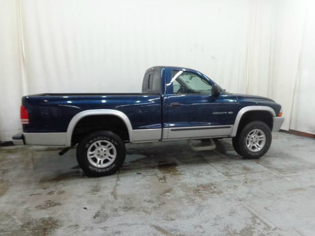 2002 Dodge Dakota Wagon SE