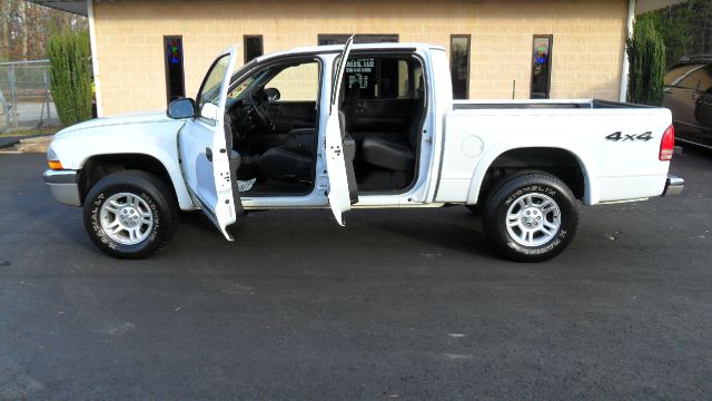 2003 Dodge Dakota Collection Rogue