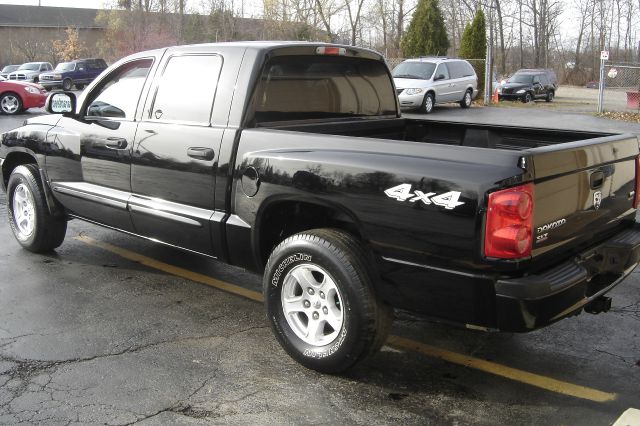 2005 Dodge Dakota Collection Rogue