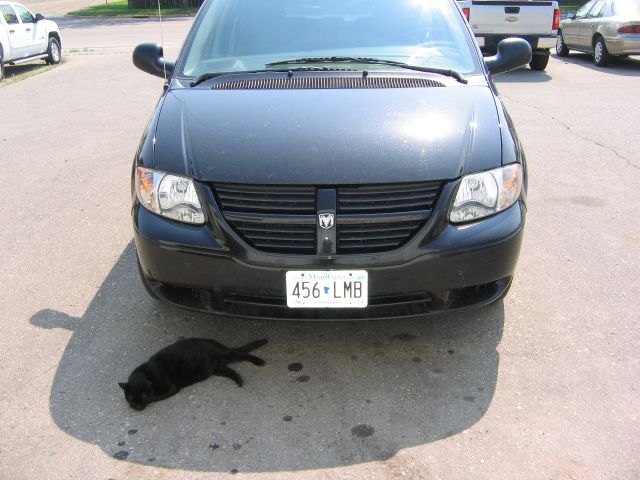 2006 Dodge Grand Caravan SE