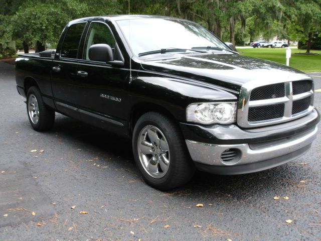 2002 Dodge Ram 1500 4x2 Fleet