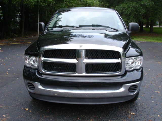 2002 Dodge Ram 1500 4x2 Fleet