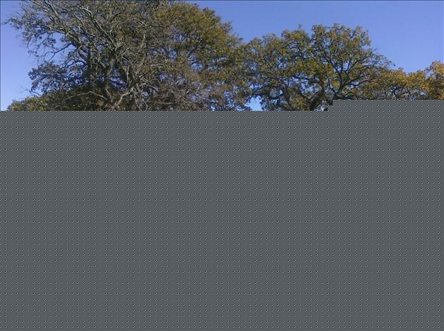 1999 Dodge Ram Van Base