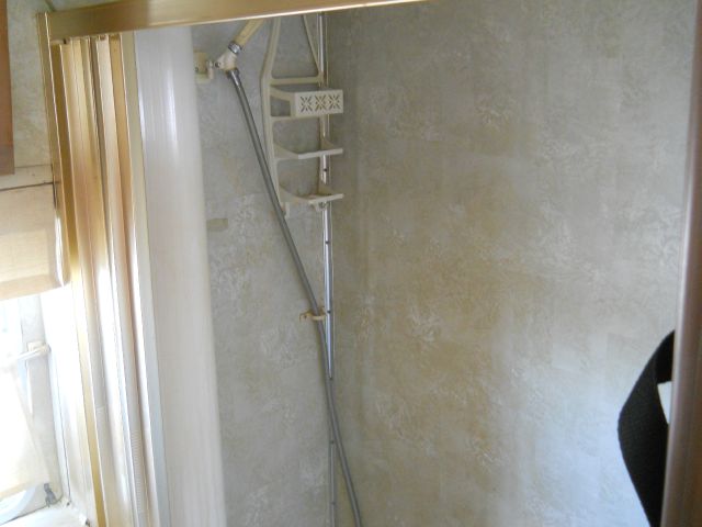 1979 Dodge ST. Regis Unknown