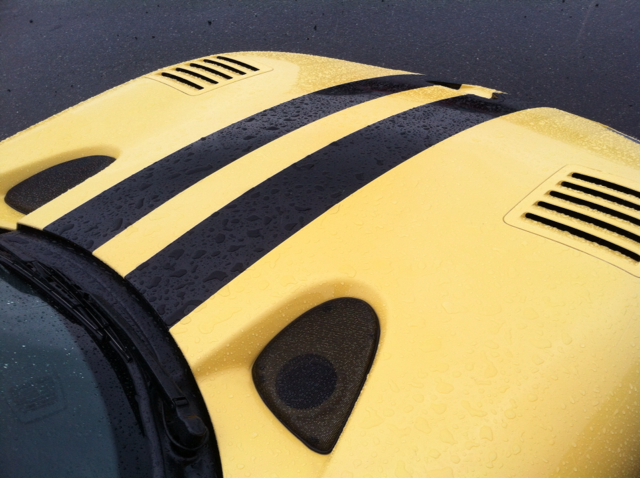 1999 Dodge Viper Sport VA