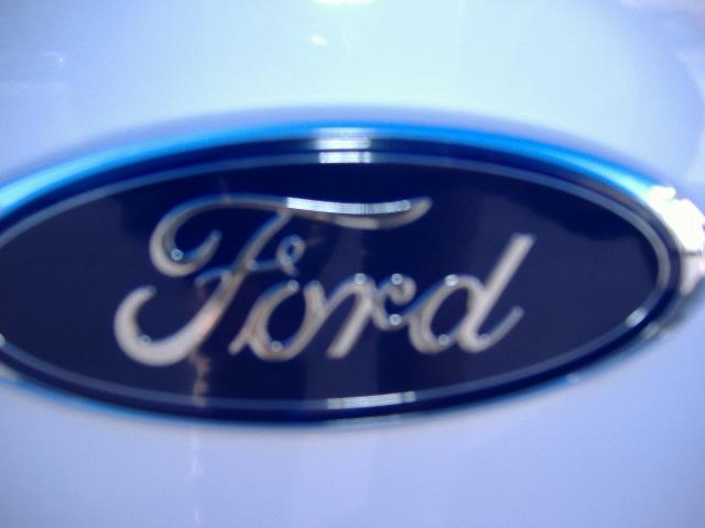 2008 Ford Econoline Wagon SRW