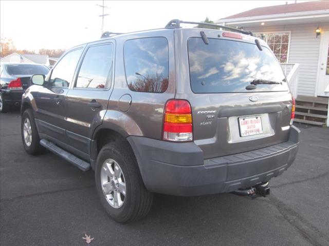 2006 Ford Escape Blackwood