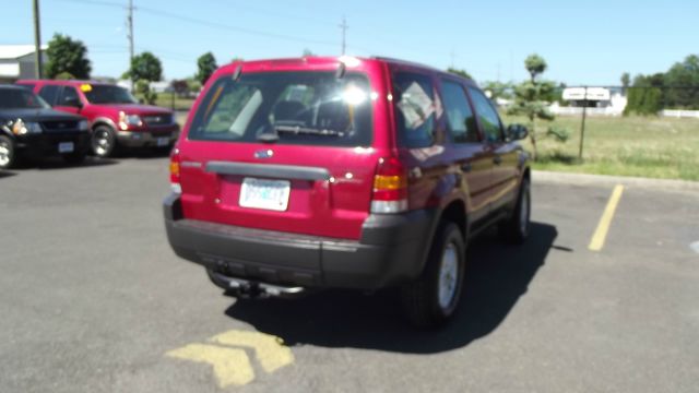 2006 Ford Escape Reg Cab 159.5 WB C5B