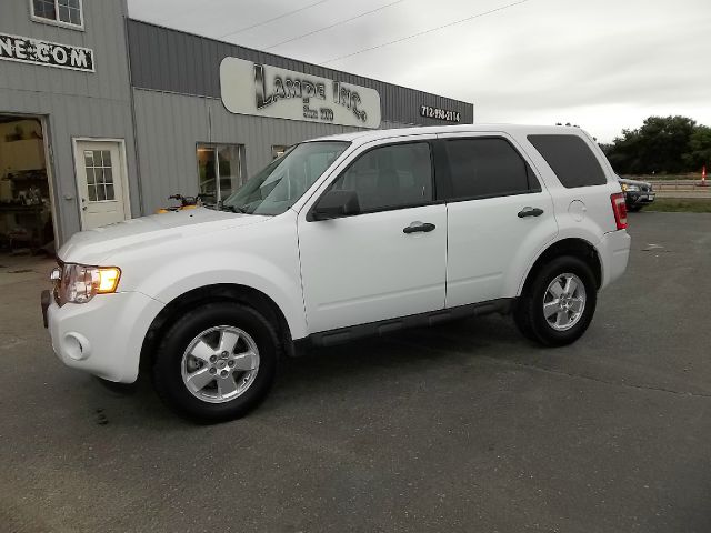 2010 Ford Escape 4DR 4WD BASE AT