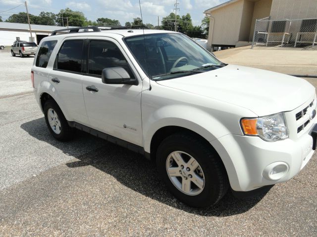 2010 Ford Escape Hybrid Slk55 AMG