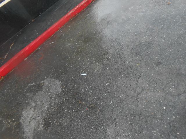 1999 Ford Expedition E320 - Extra Sharp