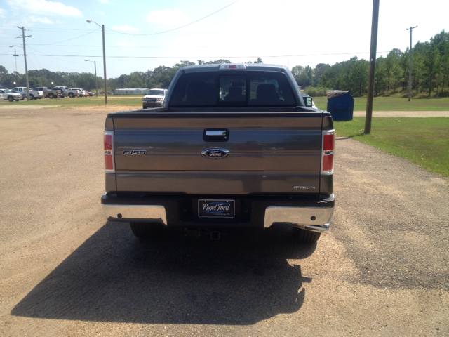 2013 Ford F-150 FB13 GRAY