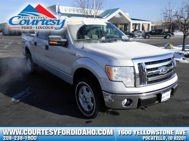 2009 Ford F150 Unknown