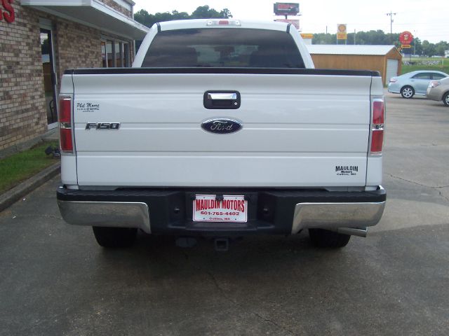 2010 Ford F150 FB13 GRAY