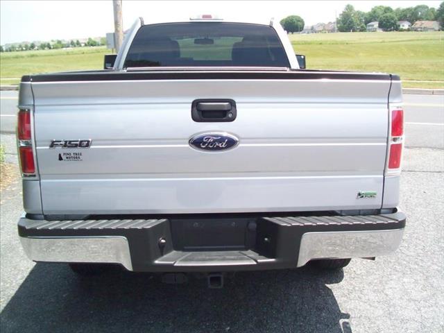 2010 Ford F150 Platinum