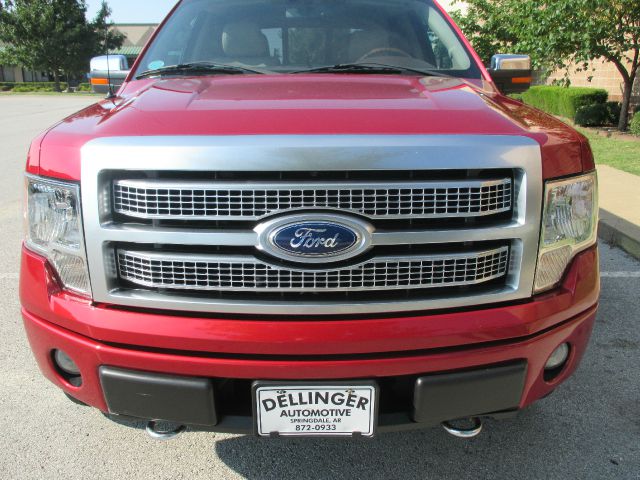 2010 Ford F150 Silverodo