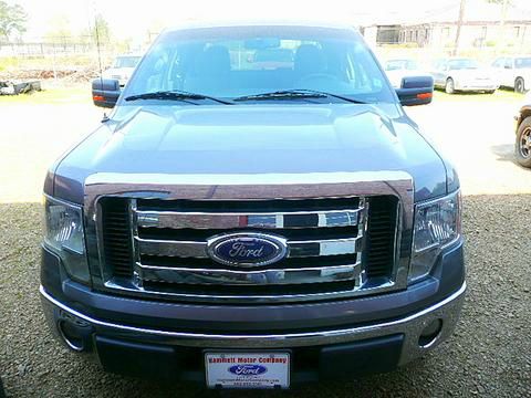 2010 Ford F150 FB13 GRAY