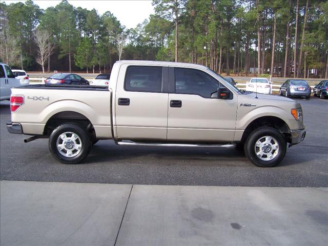 2010 Ford F150 Unknown