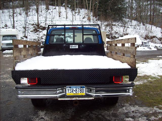 1996 Ford F250 ESi
