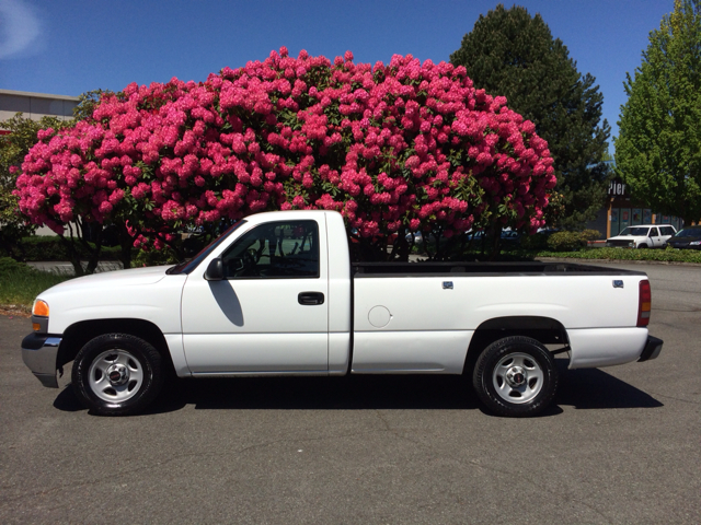 2002 GMC Sierra 1500 EX-L Minivan