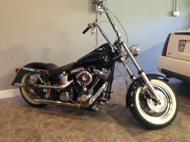 1996 Harley Davidson CUSTOM EW