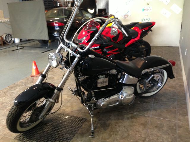 1996 Harley Davidson CUSTOM EW