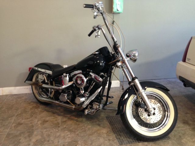1996 Harley Davidson CUSTOM EW
