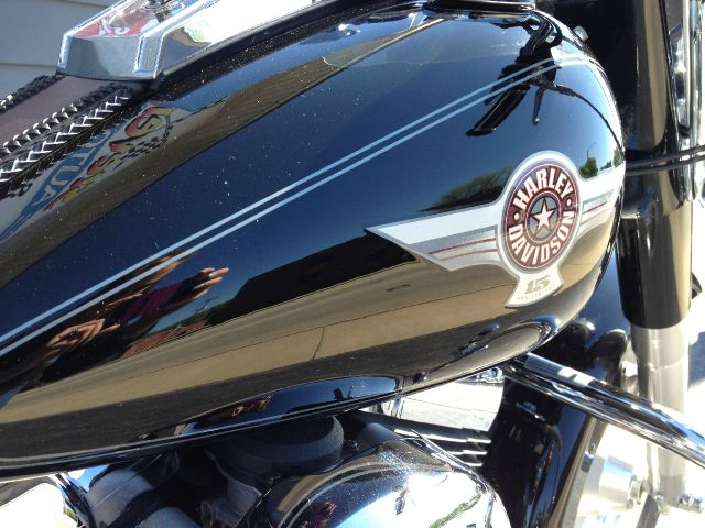 2005 Harley Davidson Fatboy FLSTF Unknown